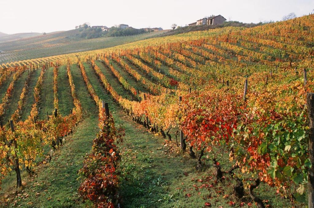 Locanda Marchesi Alfieri San Martino Alfieri Esterno foto